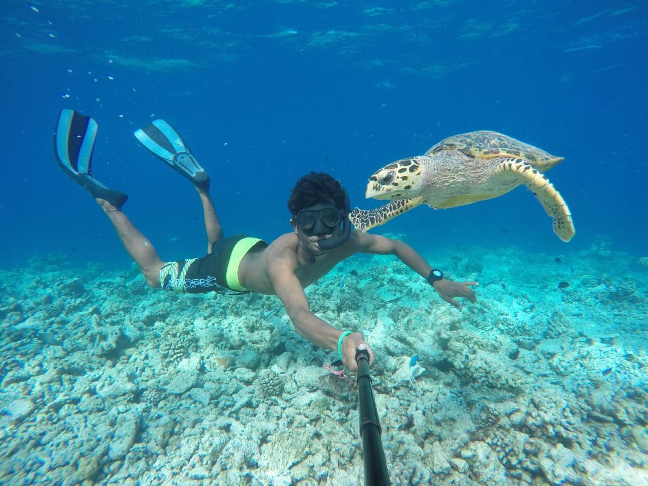 Koimala Beach Ukulhas المظهر الخارجي الصورة