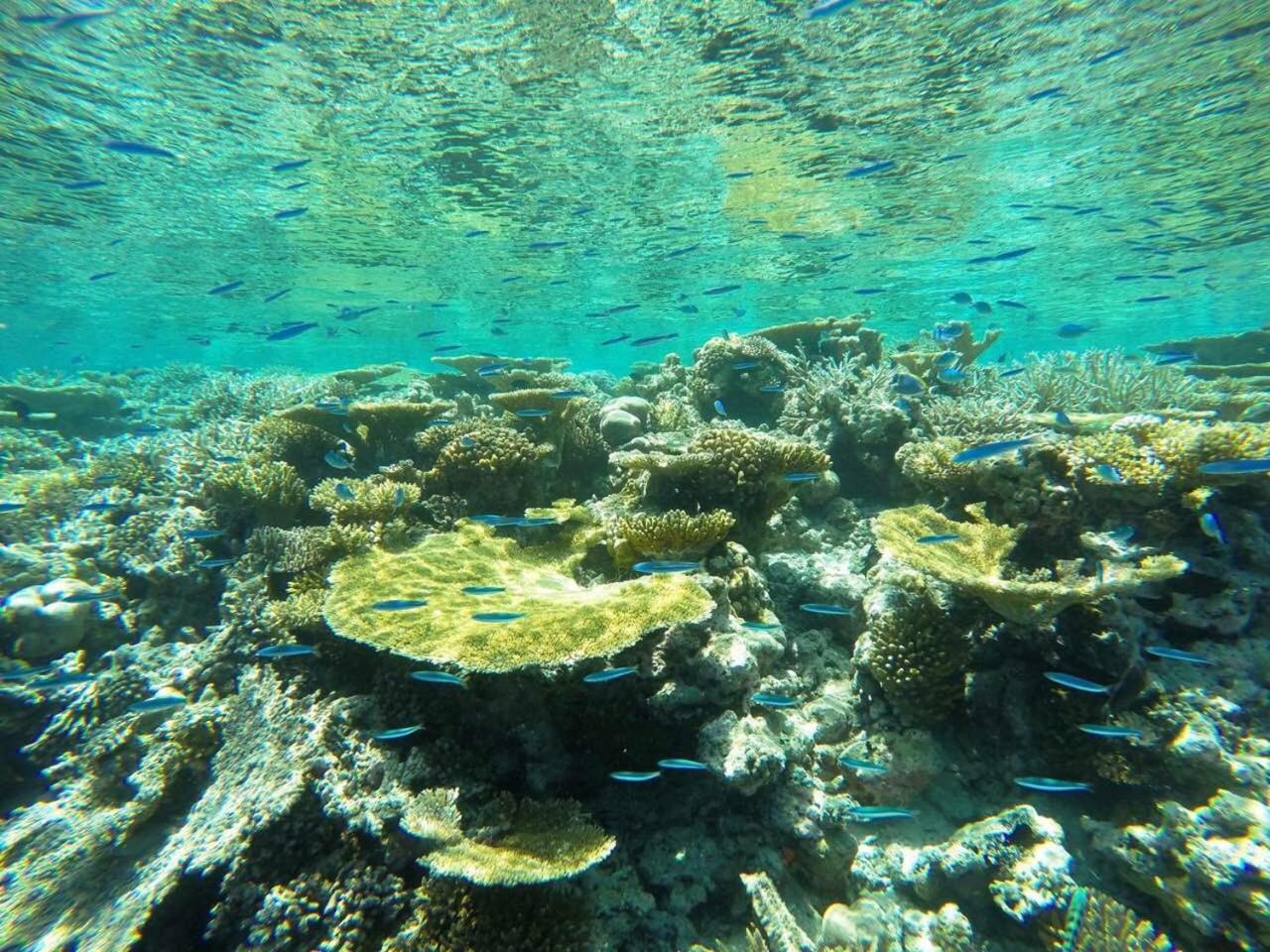 Koimala Beach Ukulhas المظهر الخارجي الصورة