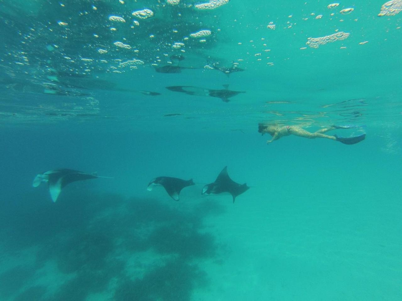 Koimala Beach Ukulhas المظهر الخارجي الصورة